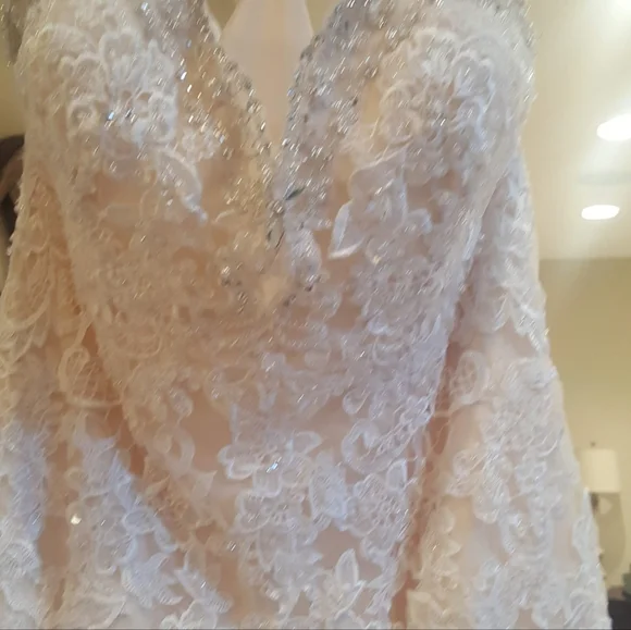 Elegant Ivory Lace Wedding Dress - Picture 8 of 12